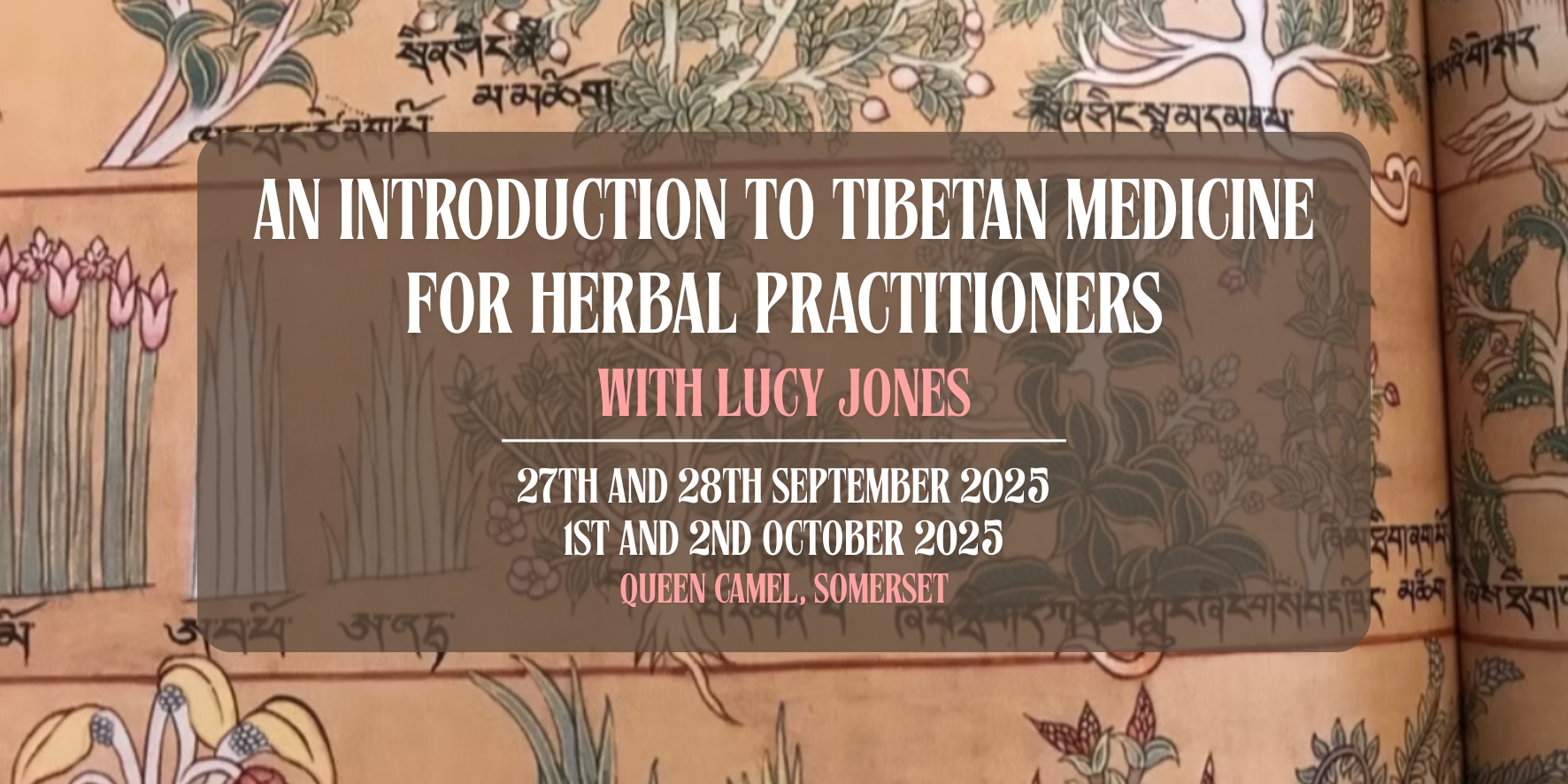 Introduction to Tibetan Medicine for Herbal Practitioners with Lucy Jones
